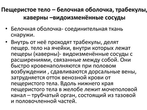 Система органов размножения самок и самцов, кровеносная и лимфатическая ...