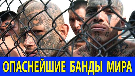ТОП 10 САМЫЕ ОПАСНЫЕ БАНДЫ МИРА - YouTube