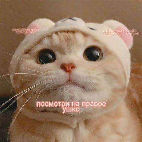 Пин от пользователя 𝖓𝖆𝖙𝖆𝖘𝖍𝖐𝖆 на доске пикчи для общения | Веселые мемы ...