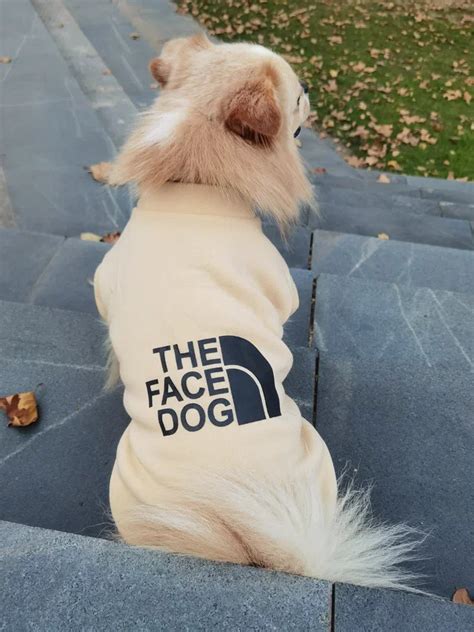 Толстовка для собак Arnydog The face dog бежевая, XS (21 см).Одежда для ...