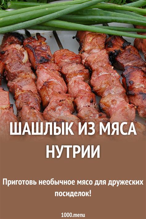 Шашлык из мяса нутрии на углях рецепт с фото - 1000.menu