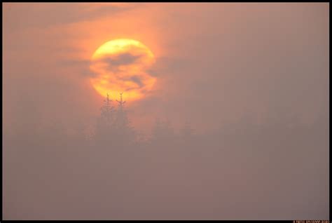 Landscapes / Loodusvaated