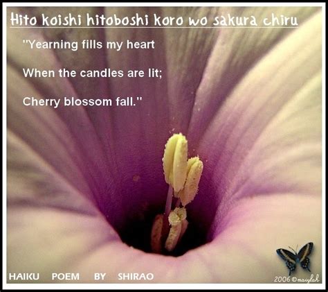 Golden Pictures: haiku poems