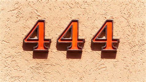 What Angel Number 444 Means for Love, Money, and Manifestation
