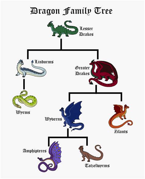 Dragon Family Tree - D&d Dragon Family Tree, HD Png Download - kindpng