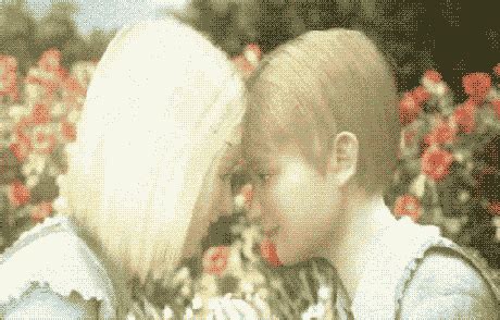 gifs rule  rose