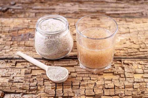 Como Consumir O Psyllium - Psyllium: o que é, quais os benefícios e como deve ser usado | Metrópoles