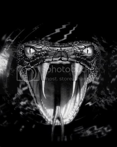 snake-fangs-venom-poison2222222244444444.jpg Photo by jessygirl1126 ...