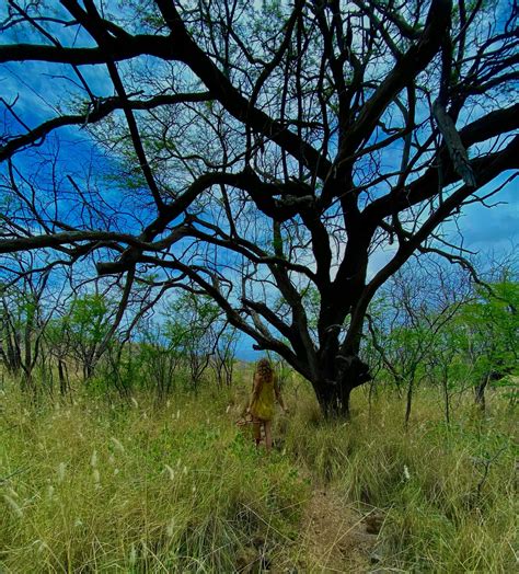 zoë evans | So grateful for this beautiful earth, to explore, grow