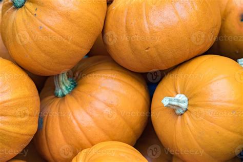 organic fruit  vegetables pumpkin  stock photo  vecteezy