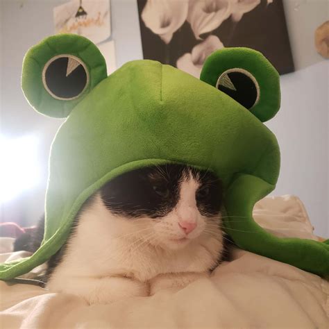 funny cute animal pfp 1