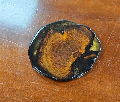 swamp kauri coaster  kauri museum