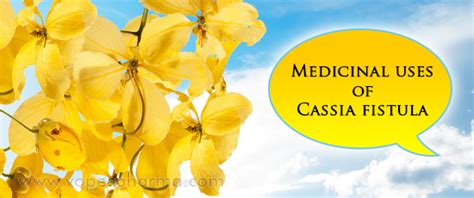 Medicinal uses of Cassia fistula