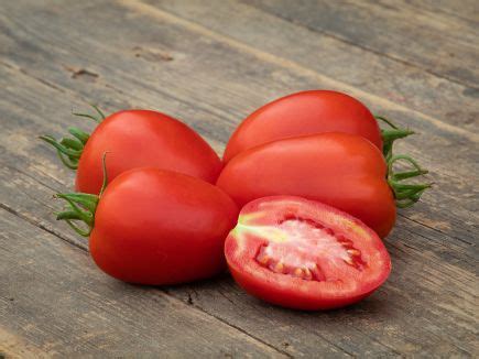 Bio-Saatgut Tomate Rio Grande