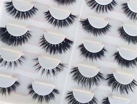 PRO LASH BOOK | Whip Lashed