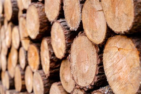 3,000+ Free Log & Log Cabin Photos - Pixabay