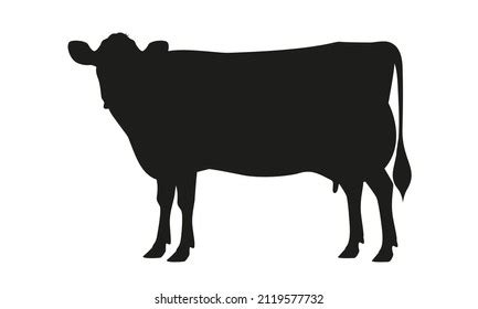 Cow Jersey Silhouette Best Milk Cattle Stock Vector (Royalty Free) 2119577732