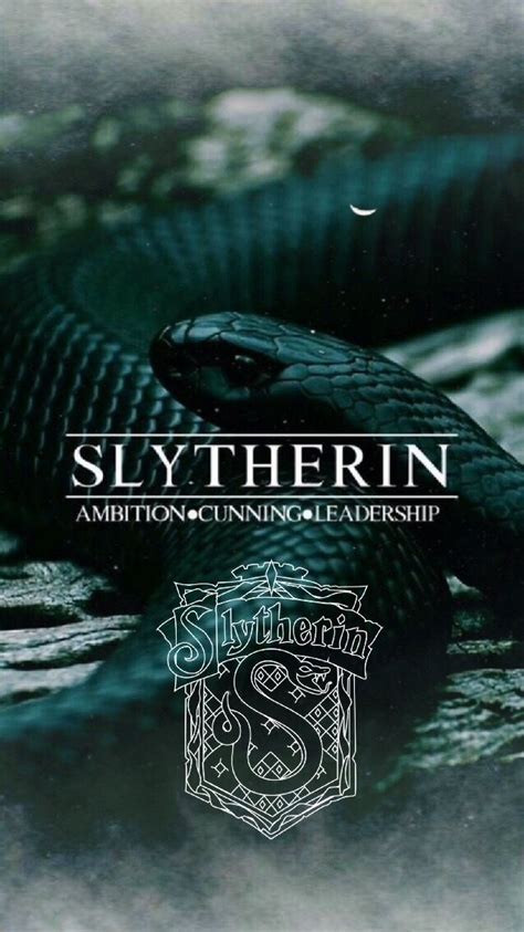 Slytherin Pride - 638x1136 Wallpaper - teahub.io