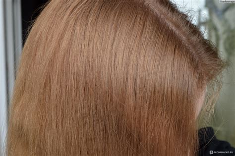 Краска-уход для волос L'Oreal Paris без аммиака Casting Natural Gloss ...