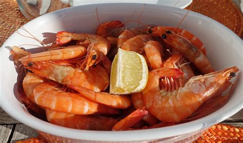 Корисні властивості креветок: чому морепродукти – це не порожня трата ...