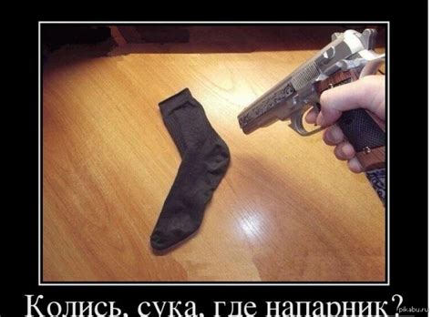 Колись,где напарник? | Пикабу