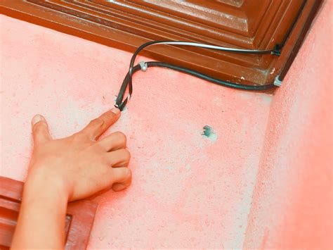 How To Keep Mice From Entering The House at Marie Vaughan blog