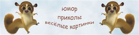 стихи про галю прикольные