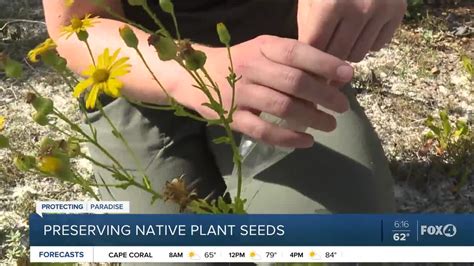 banking  seeds   future