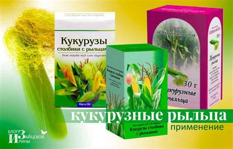 Кукурузные рыльца. Лечебные свойства. Противопоказания. Применение ...