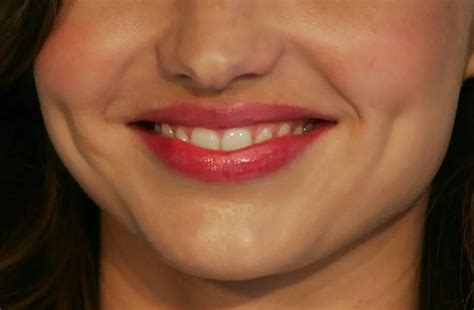 dimple definition  meaning  pictures picture dictionary books