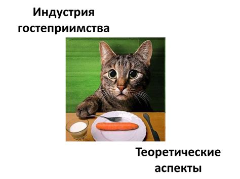 Индустрия гостеприимства. Теоретические аспекты - презентация онлайн