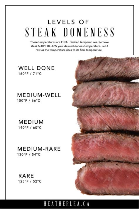 Best Levels of Steak Doneness Temperatures + Chart