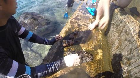 ulleung island - YouTube