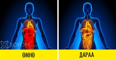 Хэрэв та өдөр болгон улаан лоолийн шүүс уувал таны биед дараах 8 ...