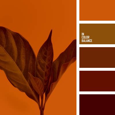 Контрастные тона | IN COLOR BALANCE