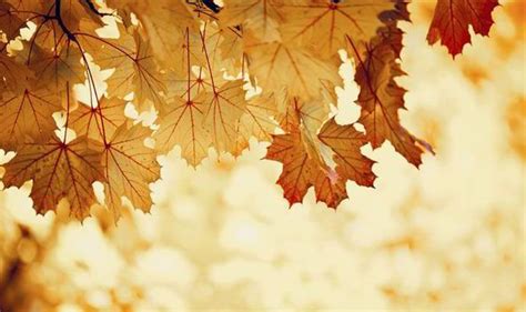 Warm spell continues into October | UK | News | Express.co.uk