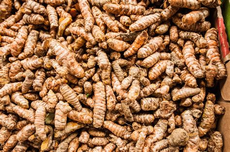 Superstar Turmeric Root | Bartanica
