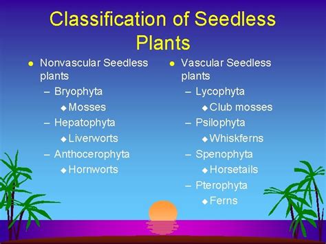 Seedless Plants Plant Evolution Plant Evolution Nonvascular Seedless