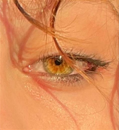 Captivating Shades of Green Eyes
