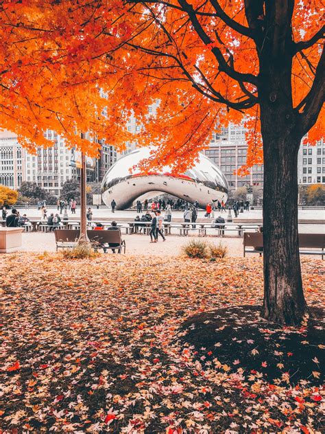 Fall Festivities in Chicago | St. Regis Chicago