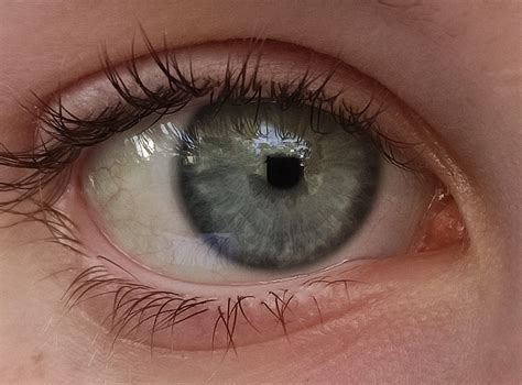 grey eye aesthetic | Gray eyes, Steel blue eyes, Jade eyes