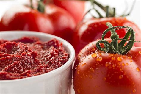 commercial tomato paste and tomato sauce - Arad Branding