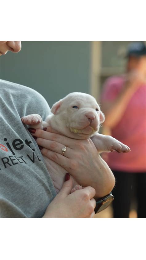 Students are asking how much do veterinarians make a year 21