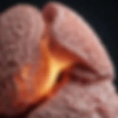 Understanding ROS1 Lung Cancer Symptoms: A Comprehensive Guide