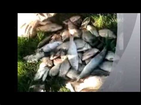 Рыбалка на Маныче. - YouTube