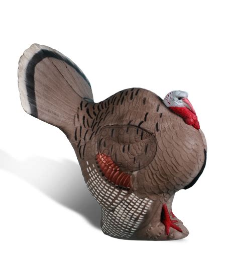 Strutting Turkey - Rinehart3D