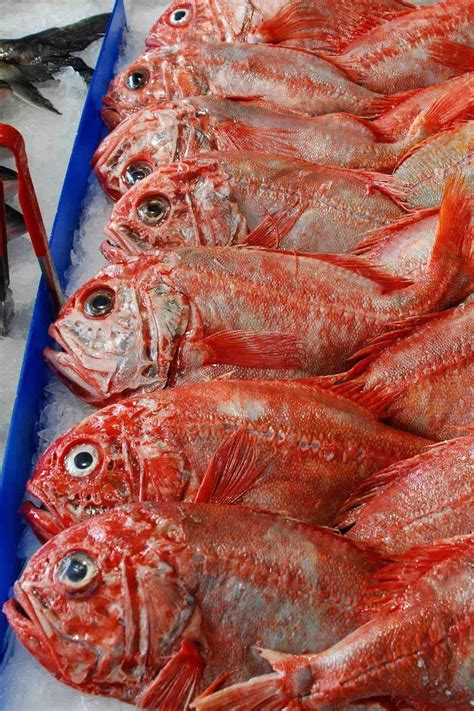 why is orange roughy so expensive 6
