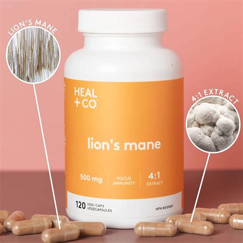 Lion's - 🌟 Introducing HEAL + CO. Lion's Mane Supplement! 🌟 Boost your