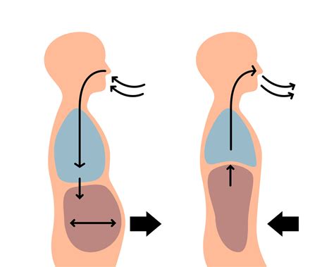 O Que É Inspirar E Expirar - Inspirar E Expirar: Qual A Diferença E Qual O Correto? – KJAAEW