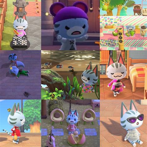 Happy birthday, Lolly 🥳 : r/AnimalCrossing